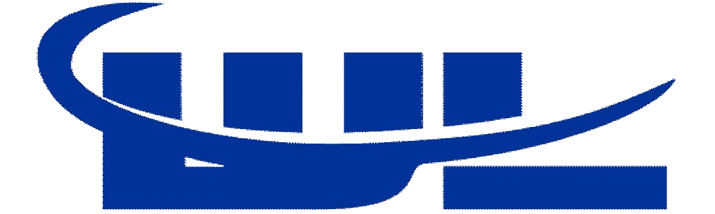 Logo Wanling Technology