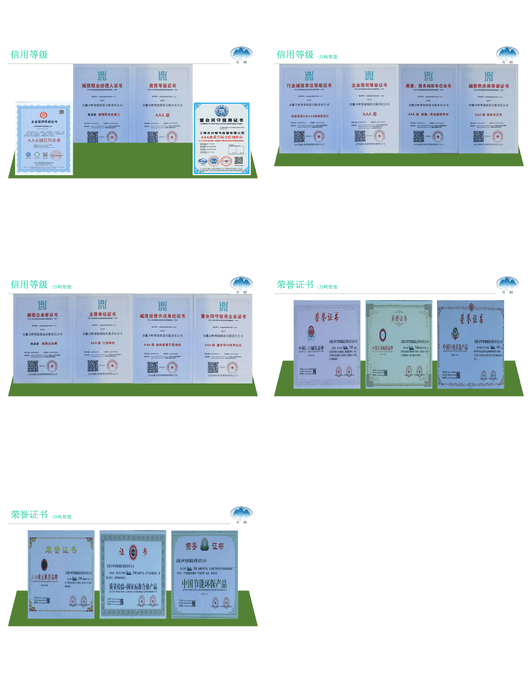 Sertifikat Wanling 2